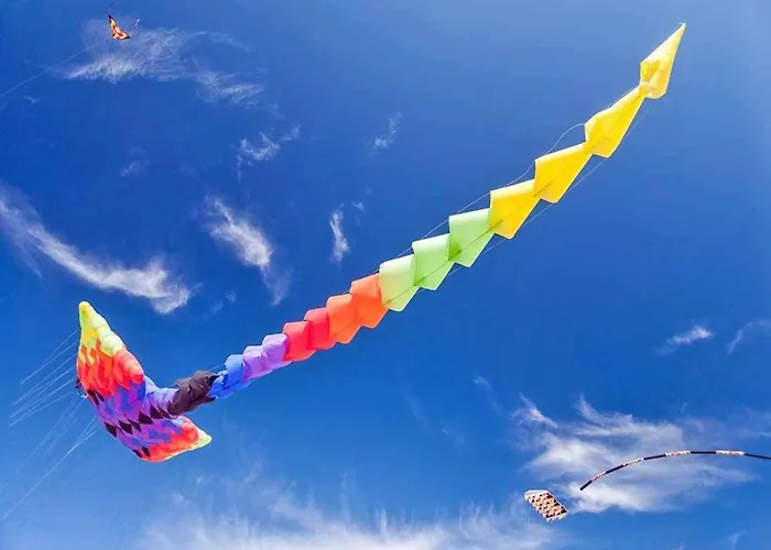 Comfortable With A Terrace, Σπίτι διακοπών